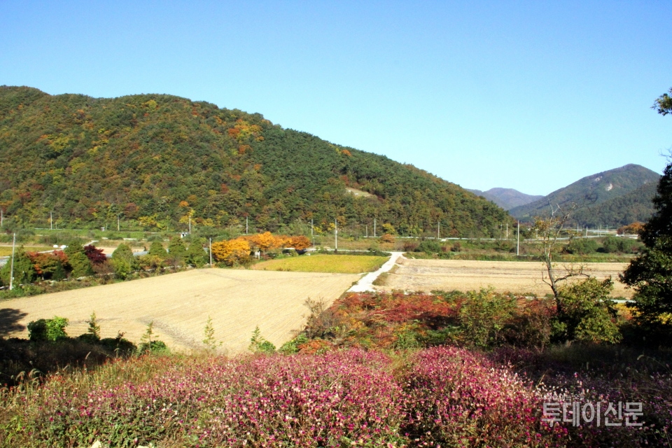 지난 10월 23일 오전 전북 순창군 쌍치면 ‘허니목화’ 농장에서 내려다 보이는 풍경 ⓒ투데이신문 김소희 기자