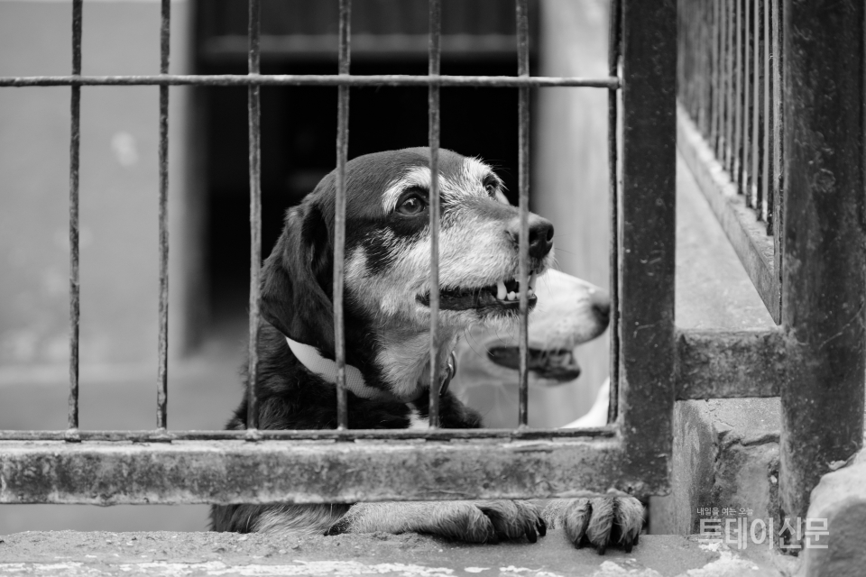 위 사진은 기사와 직접 관련 없음 ⓒ게티이미지뱅크