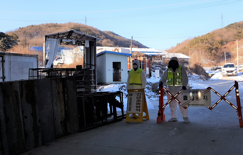 방역관계자들이 지난 15일 고병원선 조류인플루엔자 의심사례가 발견된 충북 충주시 중앙탑면 하구암리의 한 육계농장 입구를 통제하고 있다.(위 사진은 기사와 직접 관련 없음) ⓒ뉴시스