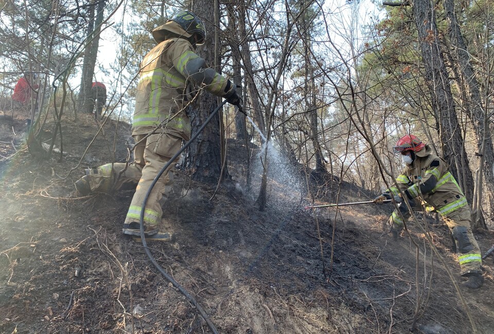 소방대원이 경북 울진군 신림리 지역에 번진 산불을 진화하고 있다. [사진제공=소방청 제공]<br>