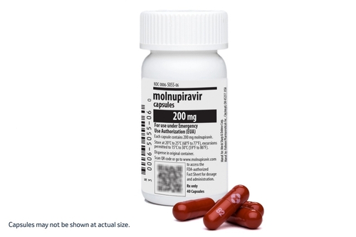 <strong>라게브리오캡슐 사진 [사진제공=</strong>한국엠에스디]<br>