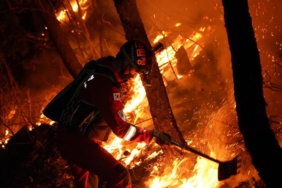 [사진제공=산림청]