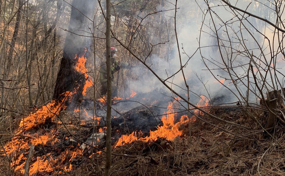 한 소방대원이 경북 울진군 신림리 지역에 번진 산불을 진화에 힘쓰고 있다. [사진제공=소방청]
