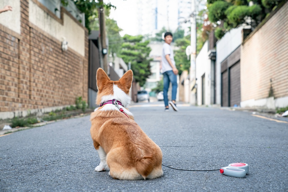 위 사진은 기사와 직접 관련 없음. [사진제공=게티이미지뱅크]