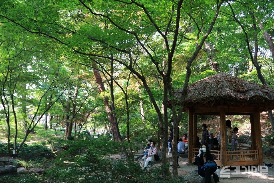 청와대 내 정원에서 시민들이 쉬고 있다. ⓒ투데이신문<br>