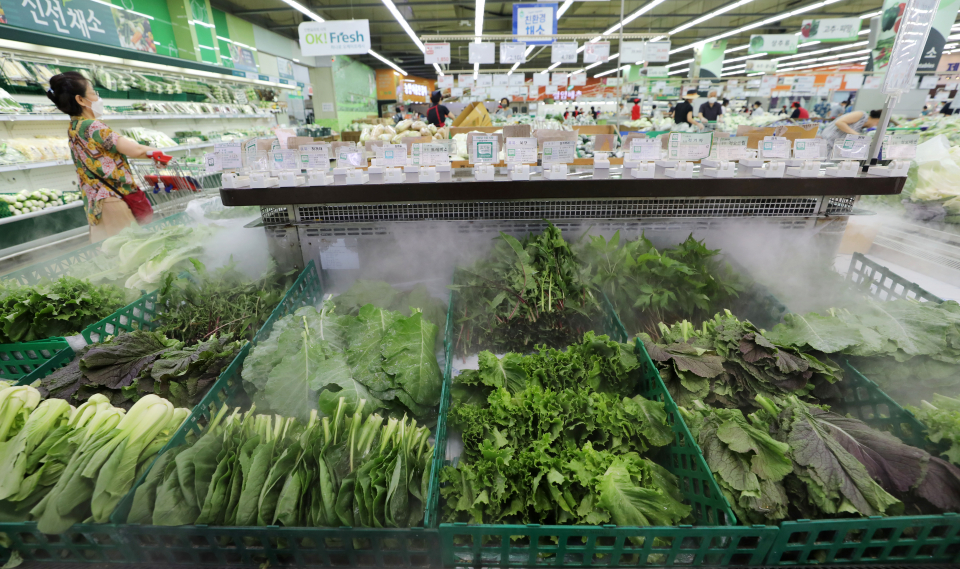 기사 내용과 직접 관련 없는 자료사진 [사진제공=뉴시스]