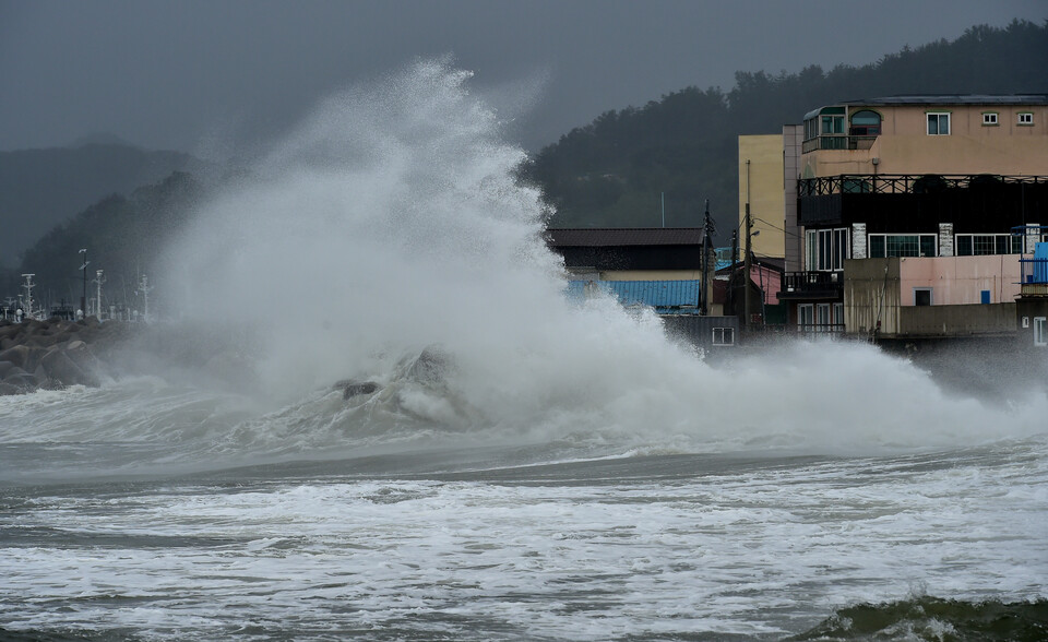 제14호 태풍 '난마돌'의 북상으로 태풍경보가 발효된 19일 오전 경북 포항시 남구 구룡포읍 해안가에 거친 파도가 몰아치고 있다.&nbsp; [사진제공=뉴시스]<br>