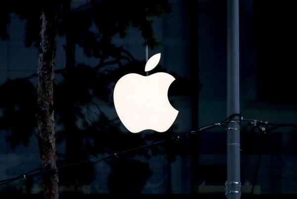 [사진 제공=뉴시스]