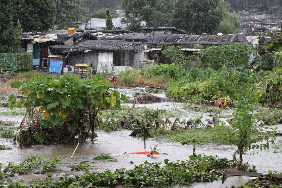 지난 8월 9일 오후, 기록적 폭우가 쏟아진 서울 강남구 구룡마을 주변 논밭이 침수돼 있다. [사진제공=뉴시스]
