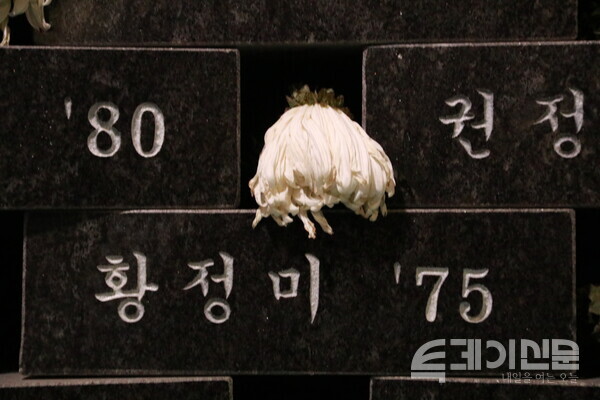 대구지하철 참사 추모공간에 놓여진 국화꽃 한송이&nbsp;ⓒ투데이신문