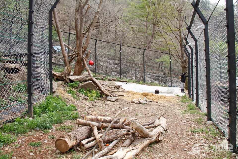 지난 16일 강원 화천군 곰보금자리프로젝트의 임시 방사장&nbsp;‘곰숲’ 전경. 행동풍부화를 위한 요인들이 담겼다. ⓒ투데이신문