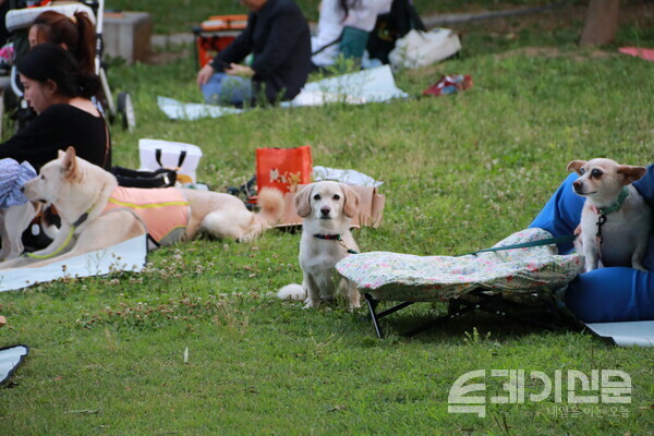 지난 6일 서울숲 야외무대에서 진행된&nbsp;‘ALL-LIVE: 반려동물 동반 야외 상영회’ 모습.&nbsp;ⓒ투데이신문<br>