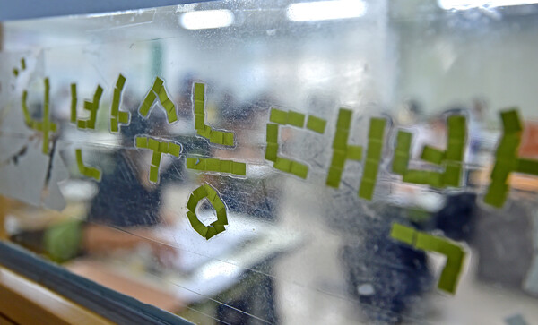 2024학년도 대학수학능력시험 9월 모의평가가 실시된 6일 오전 대구 수성구 대구여자고등학교에서 고3 수험생들이 시험을 준비하고 있다. [사진제공=뉴시스]