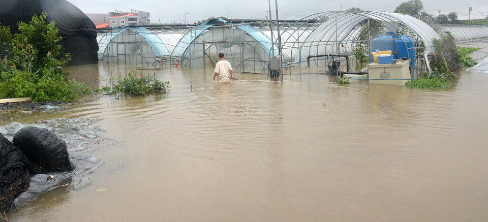 지난 7월 15일 연일 폭우가 내리는 가운데 전북 완주군 삼례읍에서 한 농민이 빗물에 잠긴 비닐하우스를 바라보고 있다. [사진제공=뉴시스]