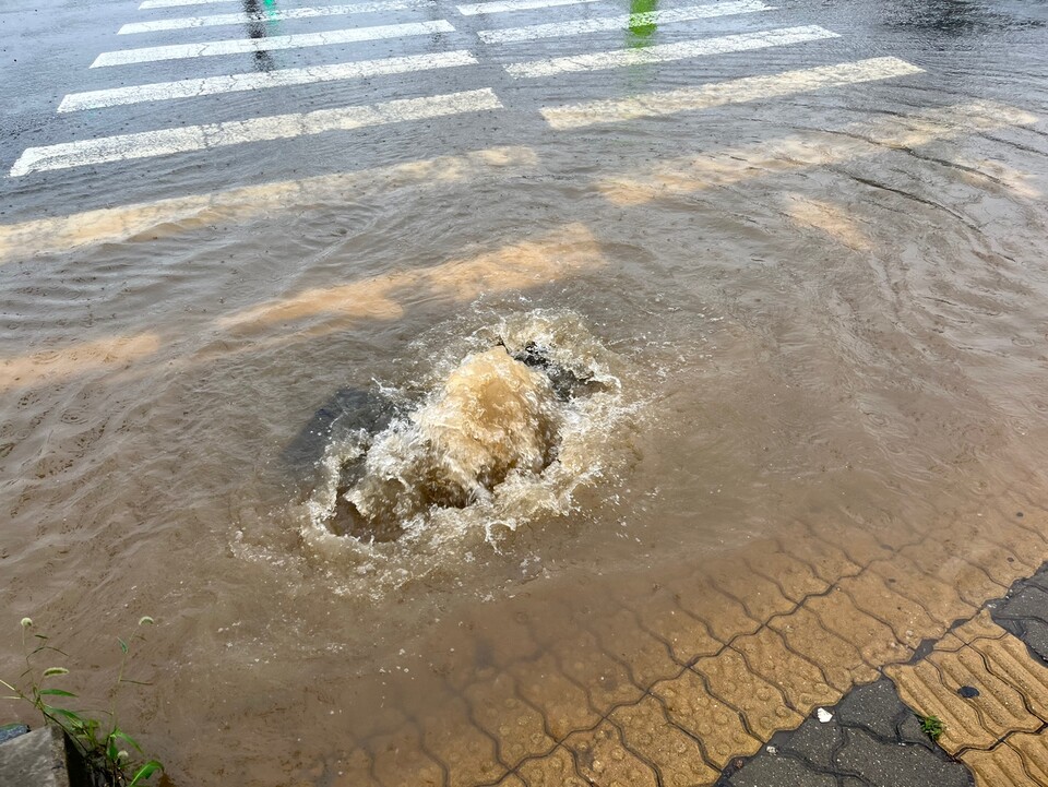 역류하는 하수도 모습 [사진제공=뉴시스]<br>
