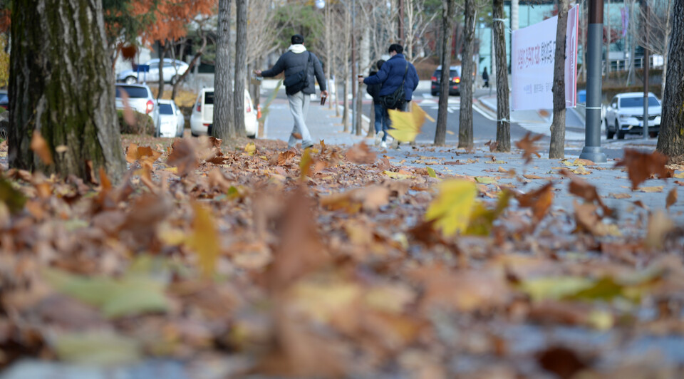 한 대학교 교정에 떨어져 내린 낙엽이 바람에 흩날리고 있다. 위 사진은 기사와 직접 관련 없음. [사진제공=뉴시스]
