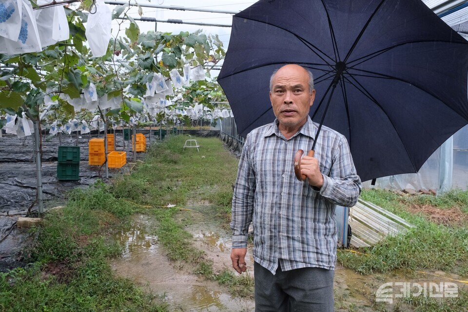 친환경인증제도를혁신하는사람들 김하동 대표가 경북 상주시에 위치한 자신의 유기농 포도밭에서 친환경농산물인증제에 대해 설명하고 있다. ⓒ투데이신문