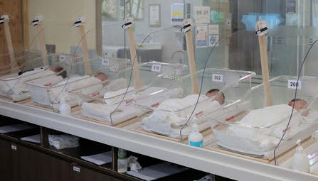 신생아들의 모습 [사진출처=뉴시스]