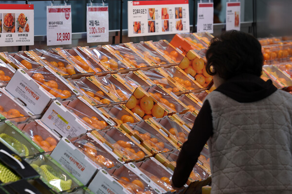 지난달 31일 서울 시내 한 대형마트에 과일이 진열돼 있는 모습.&nbsp;통계청이 최근 발표한 ‘2023년 12월 및 연간 소비자 물가동향’에 따르면 사과의 소비자 물가지수는 144.35(2020=100)이다. 이는 1년 전보다 54.4% 상승한 수치로, 이외에도 복숭아(44.4%), 수박(34.1%), 배(33.2%), 감(32.0%), 귤(20.9%) 등의 오름폭 또한 컸다. [사진제공=뉴시스]