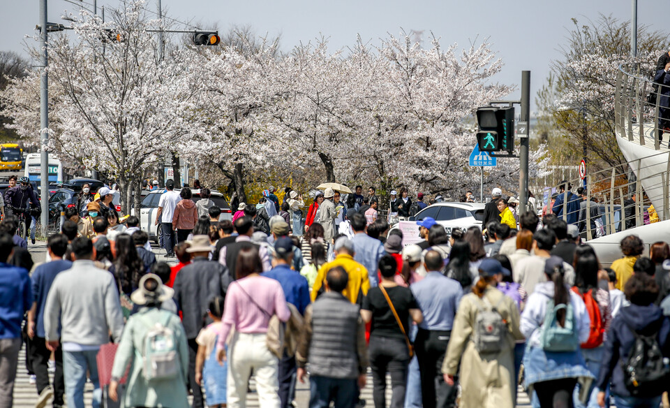 지난해 4월 서울 영등포구 마포대교 인근 교차로가 여의도봄꽃축제를 찾은 시민들로 붐비고 있다. [사진제공=뉴시스]