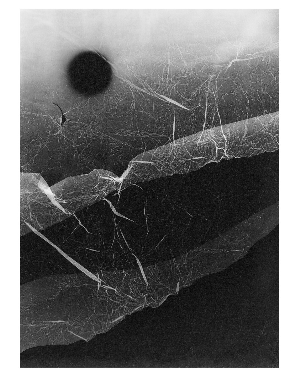 채집운동 : sunset, 14.7x19.2 cm, photogram, Gelatin silver print, 2021