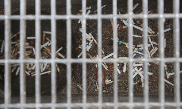 지난 2022년 서울 시내의 하수구에 담배꽁초들이 쌓여 있는 모습. [사진제공=뉴시스]