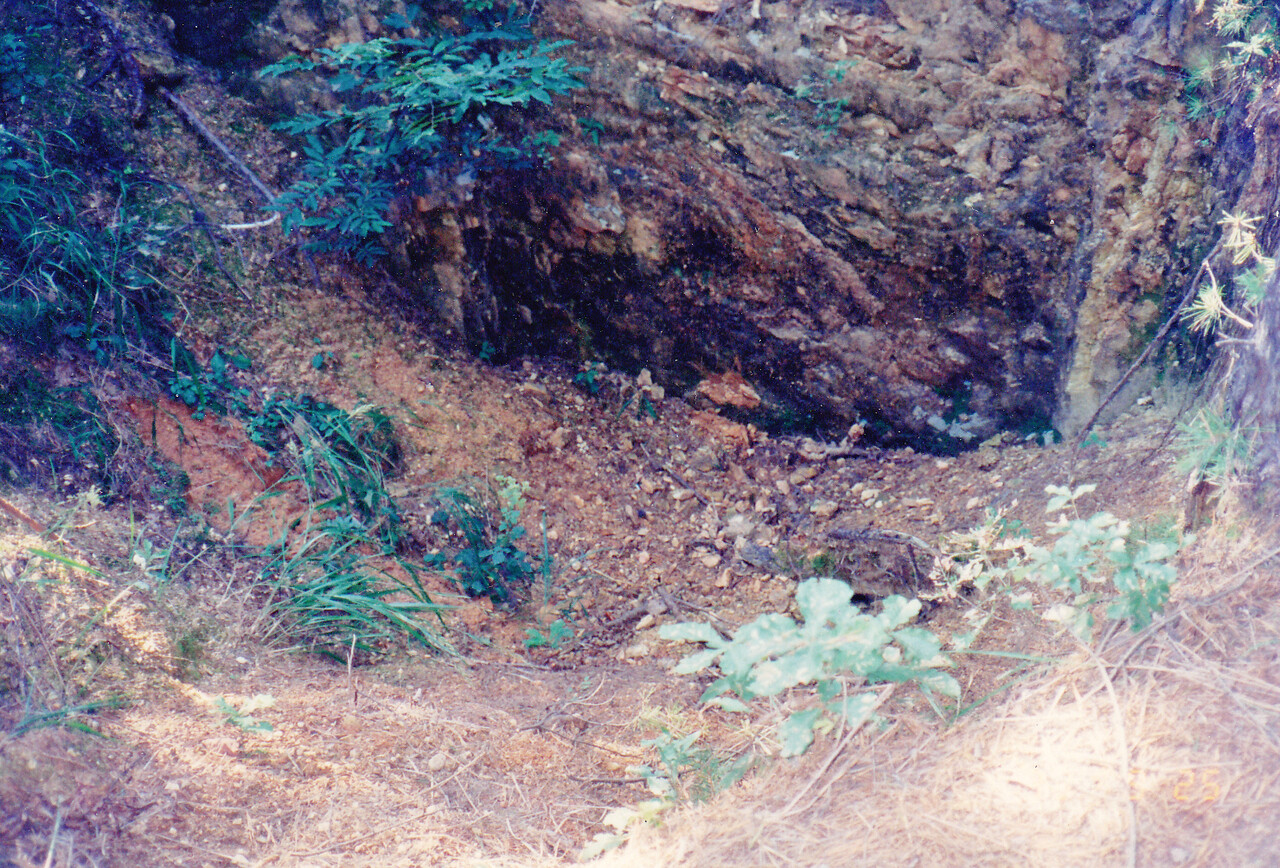 발굴 전 금정굴 현장. [사진제공=금정굴인권평화재단]