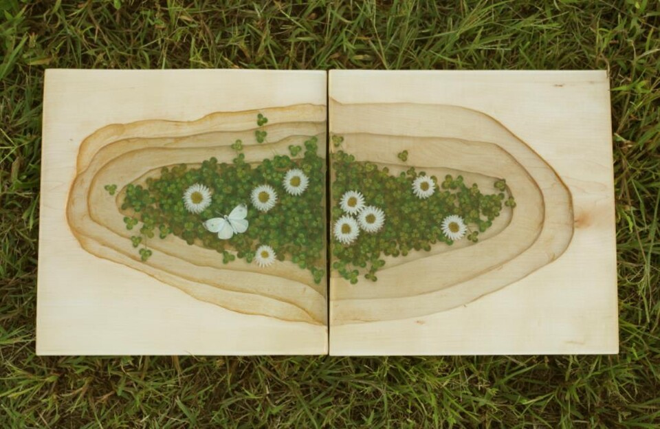 나는 네가 행복했으면 해_메이플, 레진에 아크릴릭 물감, 40 x 40 x 6 (cm), 2020<br>