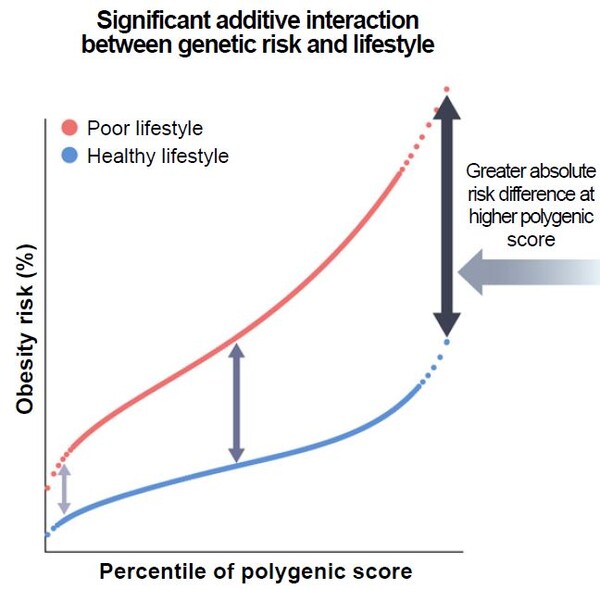 비만 관련 유전적 위험도가 높을 수록 생활습관에 따라 비만 위험 차이도 커졌다. [자료 제공=삼성서울병원]
