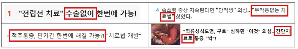 대표적인 부적절한 병원광고 표현 예시.&nbsp;[사진제공=인터넷신문윤리위원회]<br>