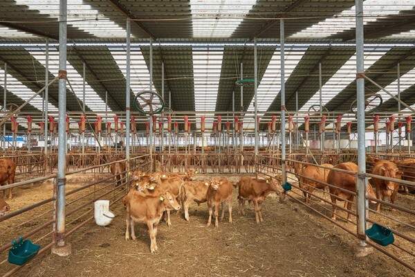 [사진제공=게티이미지뱅크]