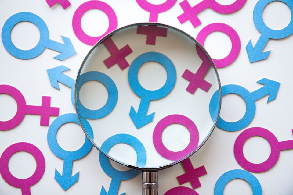 [사진제공=게티이미지뱅크]