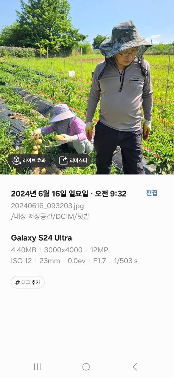 정근식 후보가 용인 농지를 주말농장으로 사용하고 있다며 공개한 사진. [사진제공=정근식 후보 캠프]