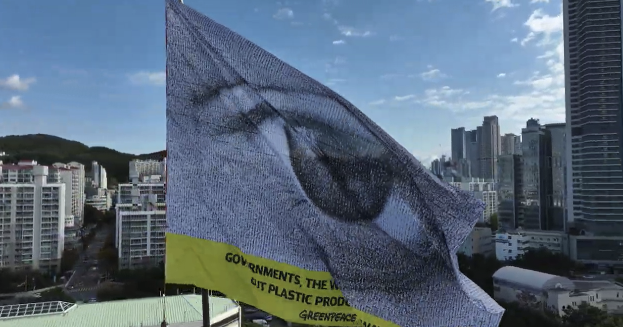 지난 25일 국제 플라스틱 협약 제5차 협상회의가 부산 해운대구 벡스코에서 열린 가운데, 그린피스가 협상장 인근에서 초대형 눈 깃발을 띄우고 생산 감축을 포함한 강력한 국제 플라스틱 협약 지지를 촉구했다. [사진제공=그린피스]