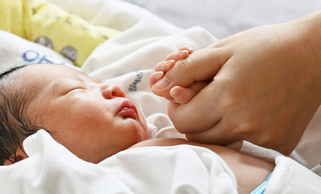 [사진제공=뉴시스]