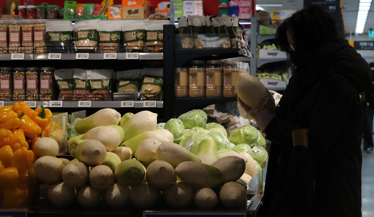 정부가 설을 앞두고 성수품 수급안정 대책을 펼치며 물가 안정에 총력을 다하고 있다. 유통업계에서도 정부 기조에 동참해 다양한 할인 행사를 진행하고 있다. [사진 출처=뉴시스]