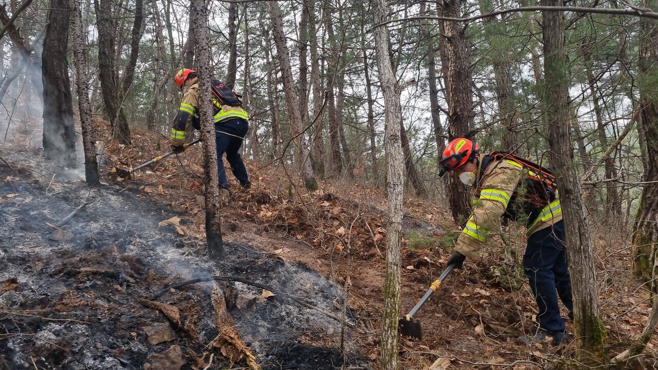 119산불특수대응단이 안동시 남후면 일원에서 잔불진화선을 구축하고 있다. [사진=뉴시스]