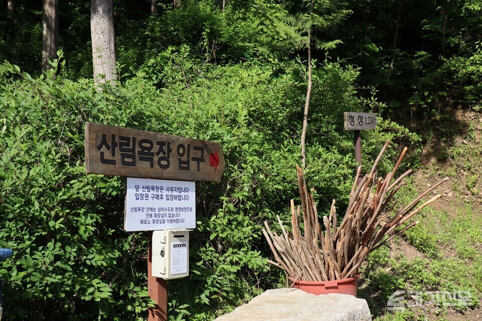 홍일상사 이미지