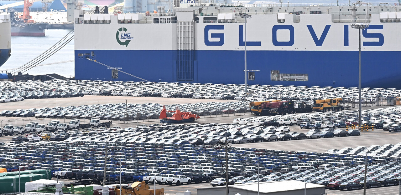 지난달 21일 경기 평택항 자동차 전용부두에 선적을 기다리는 수출용 차량이 세워져 있다. [사진=뉴시스]