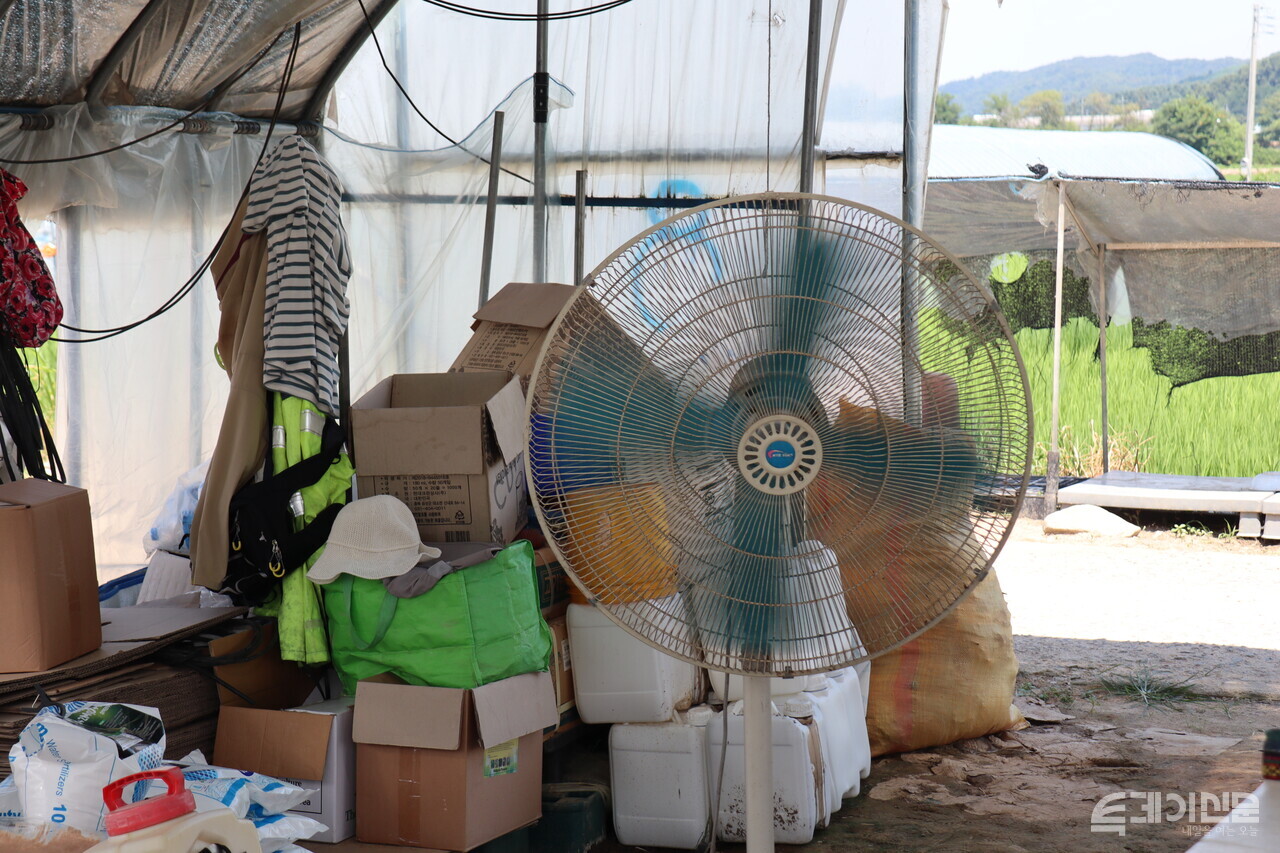 이씨의 비닐하우스에 있는 대형 선풍기. ⓒ투데이신문