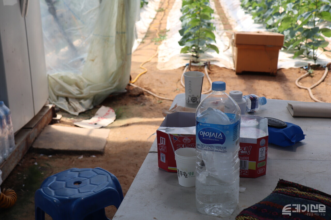이씨의 비닐하우스에 얼음물이 놓여져 있다. ⓒ투데이신문