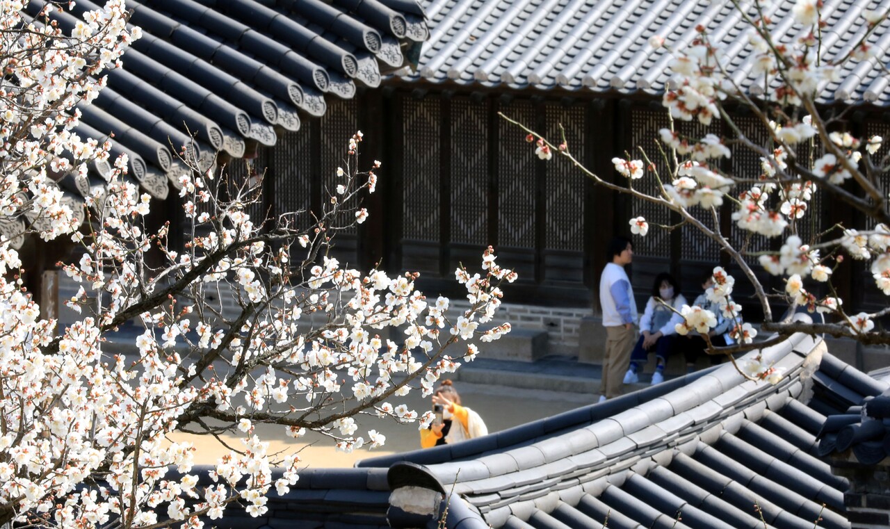 2023년 3월 서울 종로구 창덕궁 낙선재에 관람객들이 봄 나들이에 나와 있다. [사진제공=뉴시스]