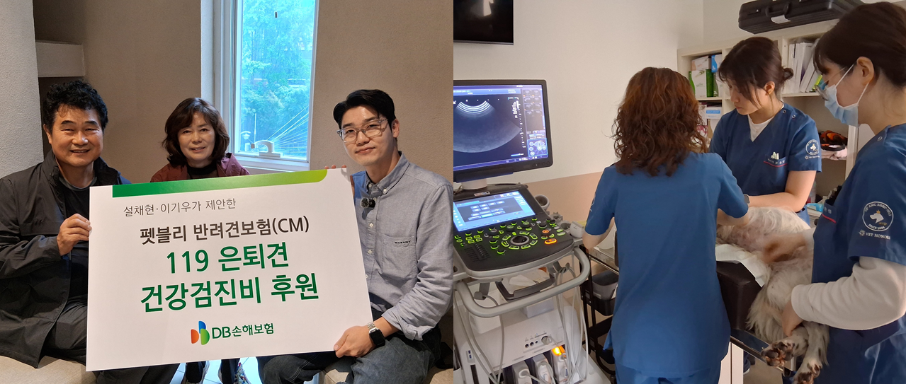 지난 9일 서울시 강남구 설채현 수의사 동물병원에서 119은퇴견 다솔이에 대한 건강검진을 진행하고 기념촬영을 하는 모습 [사진=DB손해보험]