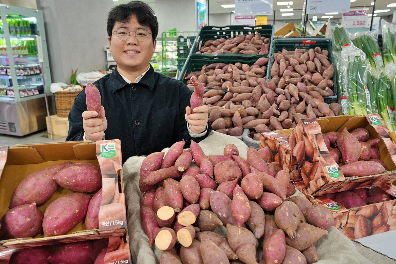 [사진=롯데마트]