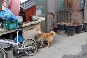 [4편] 동력을 잃고 쇠락한 상점·교회들