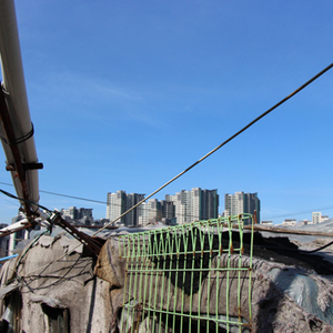 [5편] 혹독한 여름과 처절한 겨울