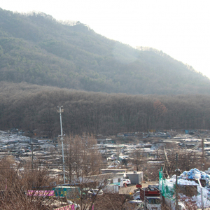 [8편] 한탕 노린 투기꾼들의 유입
